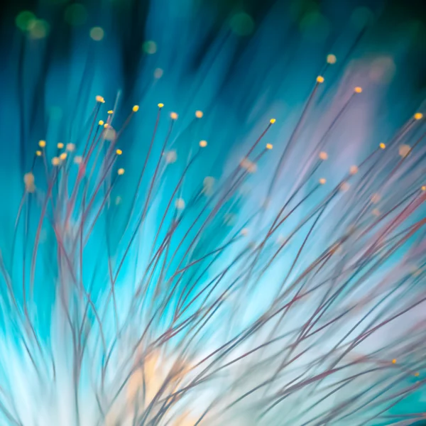 Life Sciences & Healthcare | Legal Services