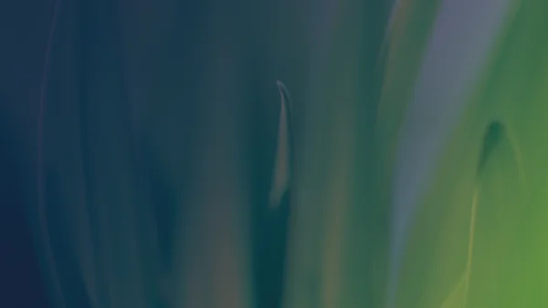 Insights Green Plant Adobestock 395547646 OVERLAY